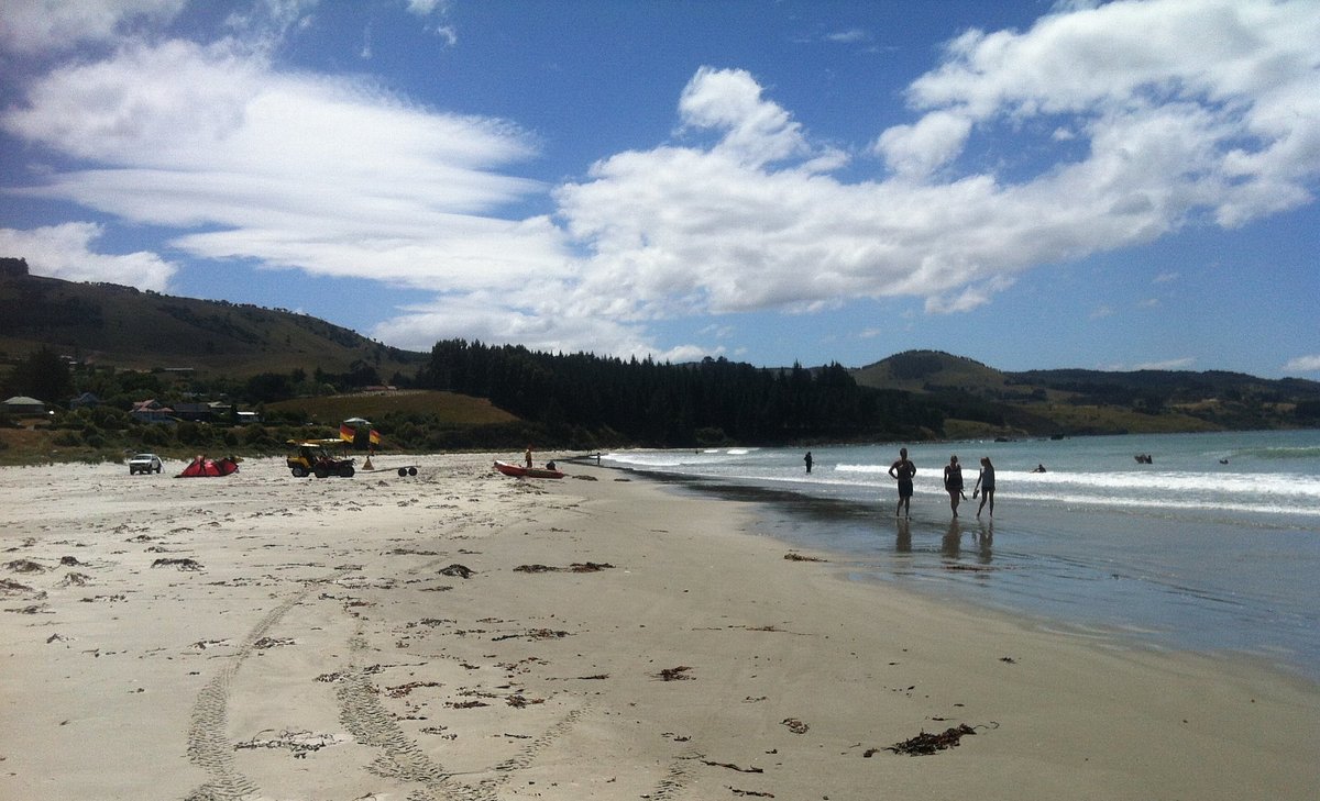 Warrington Beach, Dunedin, Otago, New Zealand @TripAdvisor