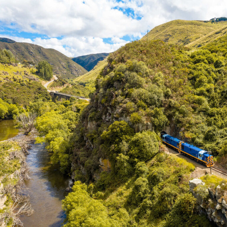 @Dunedin Railways