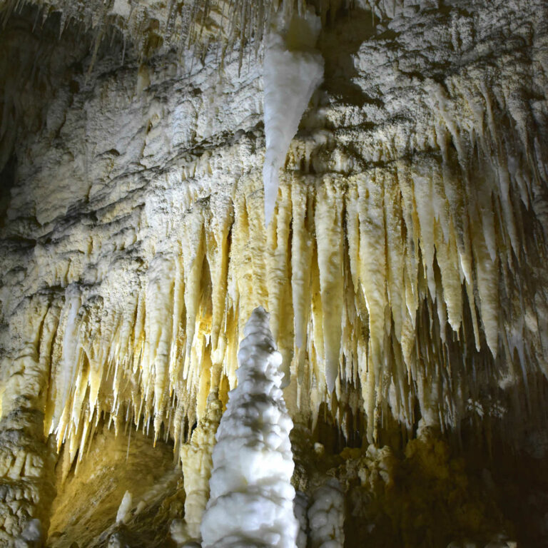 Aranui Limestone Cave in NZ with Large Stalactite and Stalagmite, New Zealand