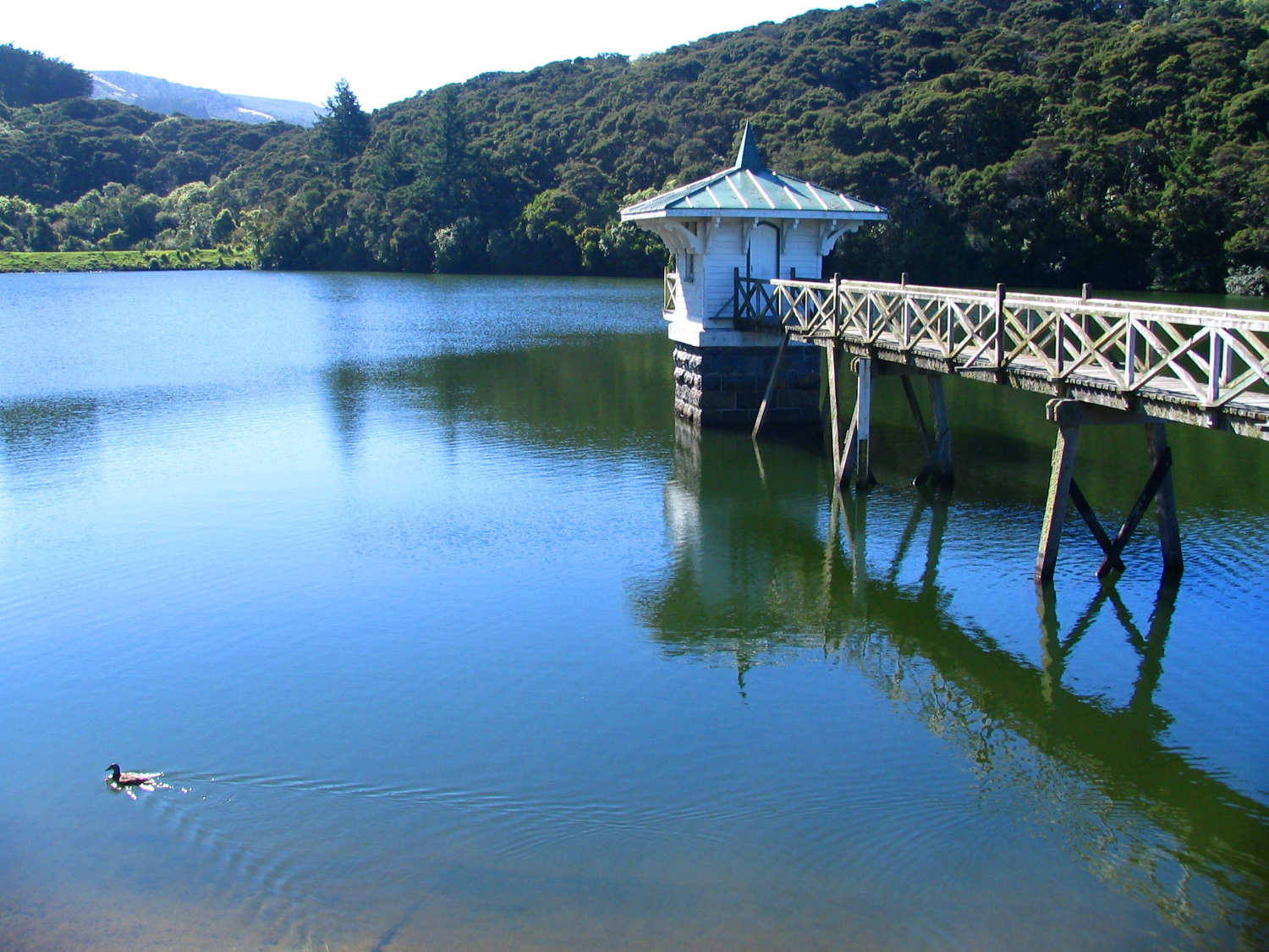Ross Creek Reservoir, New Zealand @Benchill