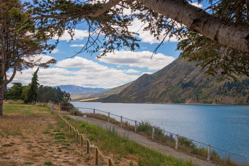 Scenery of a walkway next to the Lake Waitaki near Kurow with a Totara tree branch in the foreground, New Zealand