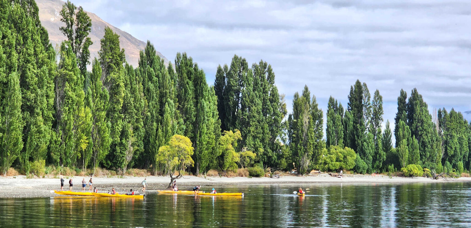 Kayaks launch guided tour Lake Wanaka near #thatwanakatree, South Island, New Zealand