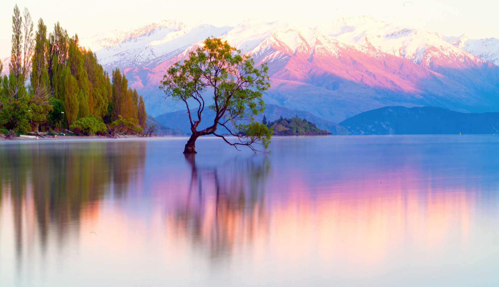 Lake Wanaka iconic much photograhed tree, South Island, New Zealand