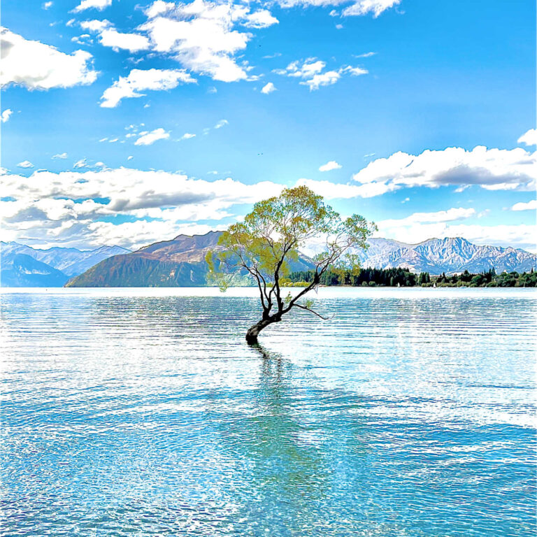 Lake Wanaka #thatwanakatree, South Island, New Zealand