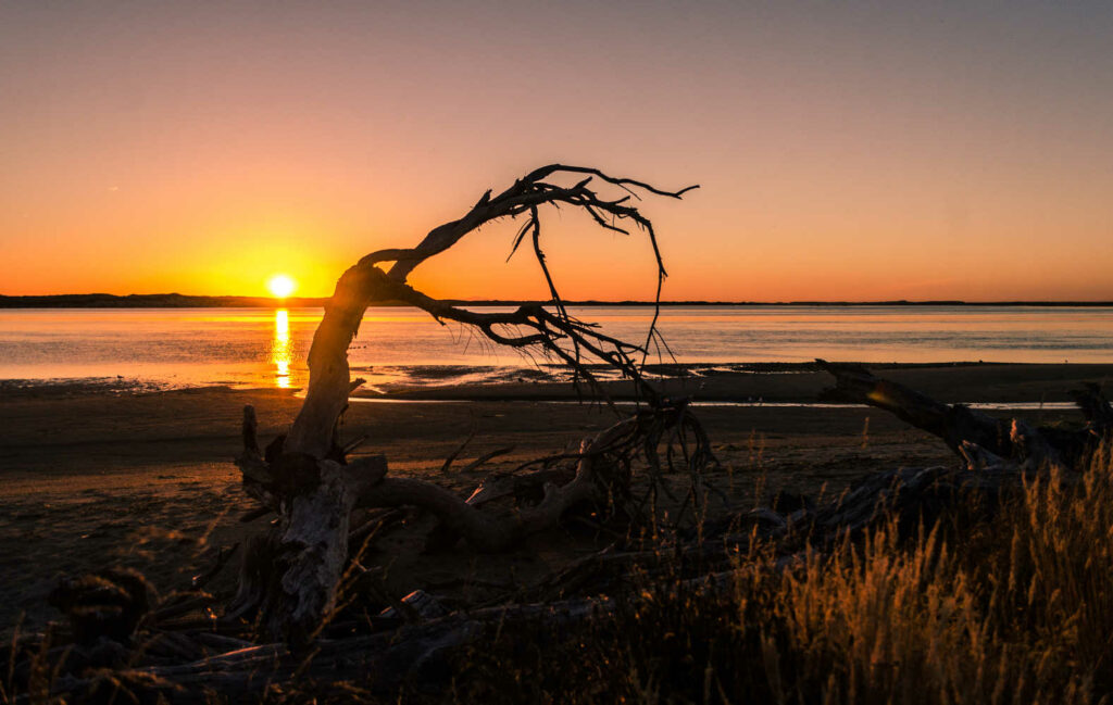 Sunset at secluded beach at Fortrose in New Zealand