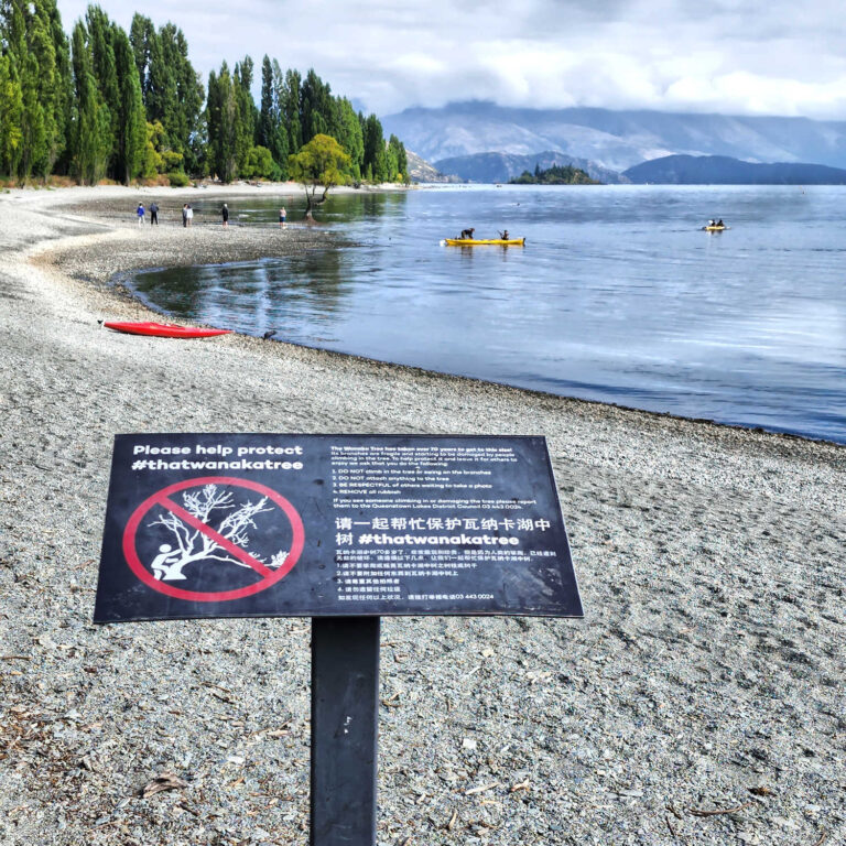 #thatwanakatree safety notice, Wanaka, South Island, New Zealand