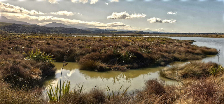 Moana Wairarapa, Lake Wairarapa wetlands bird watching hot spot, New Zealand