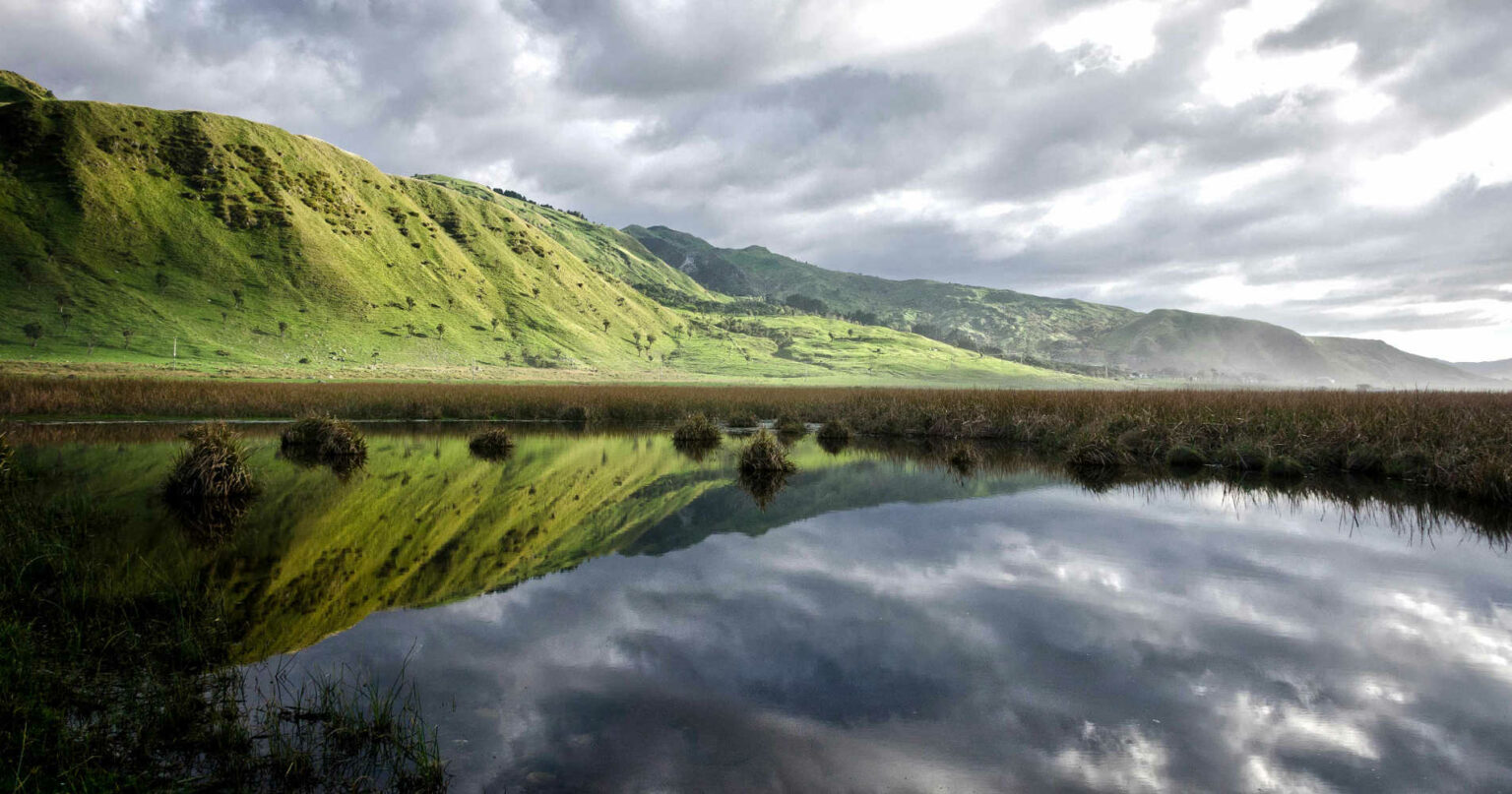 Moana Wetland, near hills, Glenburn, Wairarapa, North Island, New Zealand