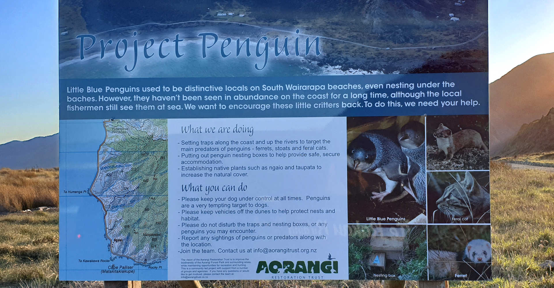 Project Penguin information panel Moana wetlands, Wairarapa, NZ, New Zealand
