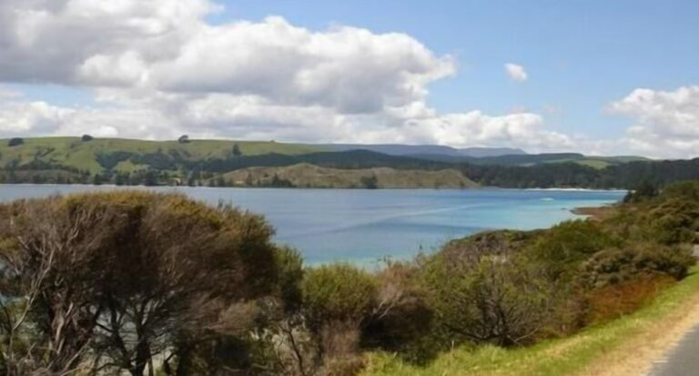 @Omamari Beach/ Kai iwi Lakes/ Kauri Forest