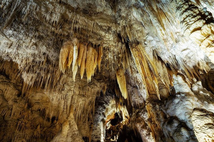 @Waitomo Caves & Rotorua Small Group Tour including Te Puia from Auckland