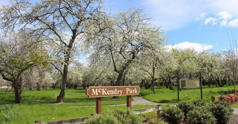 McKendry reserve park in Marlborough New Zealand