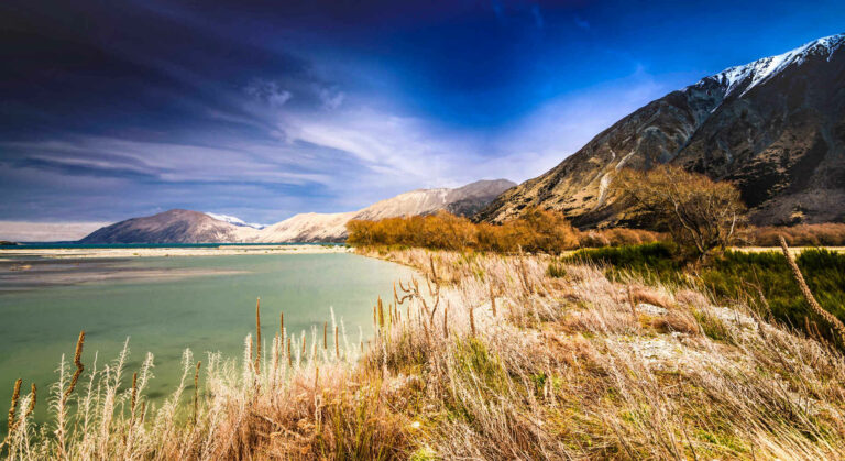 scenic Spectacular view of Lake Coleridge surrounded by multiple native trees and forest showcasing a deep blue flow located in the Canterbury Region of the South Is