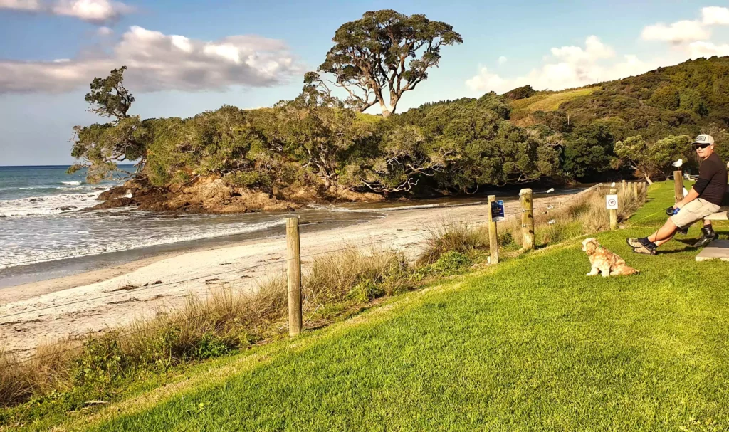 Bream Bay coastline with TravelMax (dog), family enjoying Northland, NZ