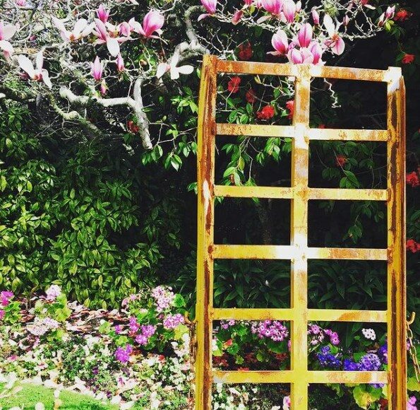 Flowers at queens garden in nelson new zealand instagram photo
