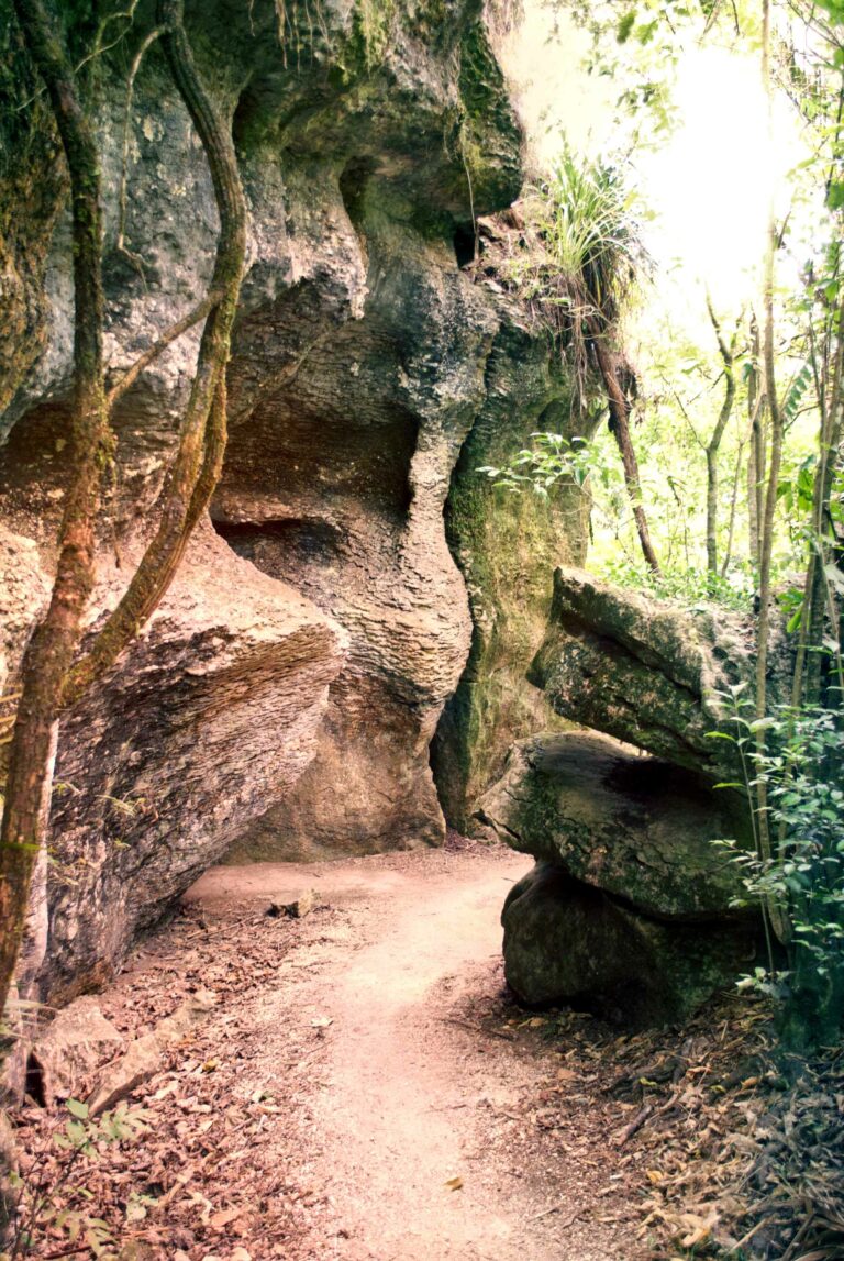 Grove Scenic Reserve passageway through limestone cliffs
