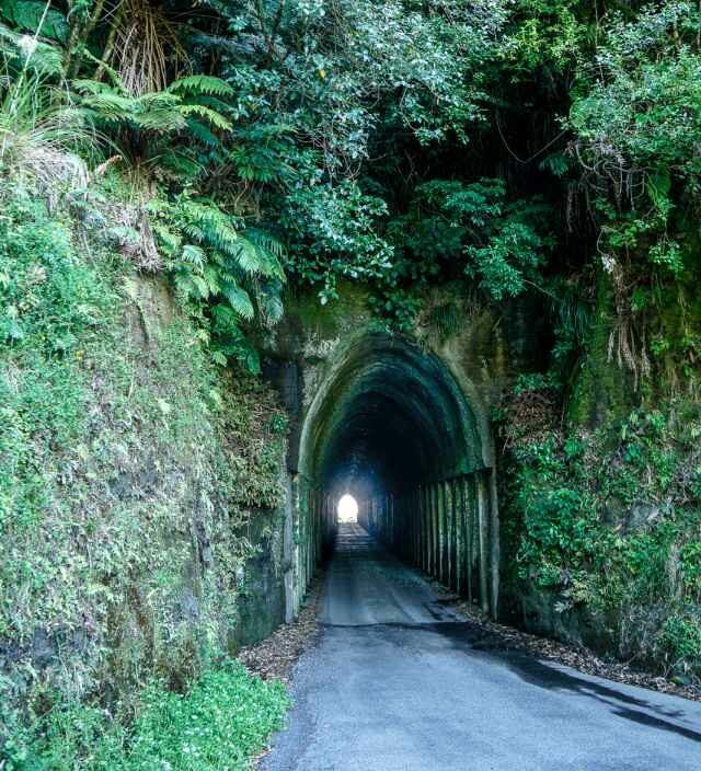 Makahu Tunnel, Forgotten World Highway
