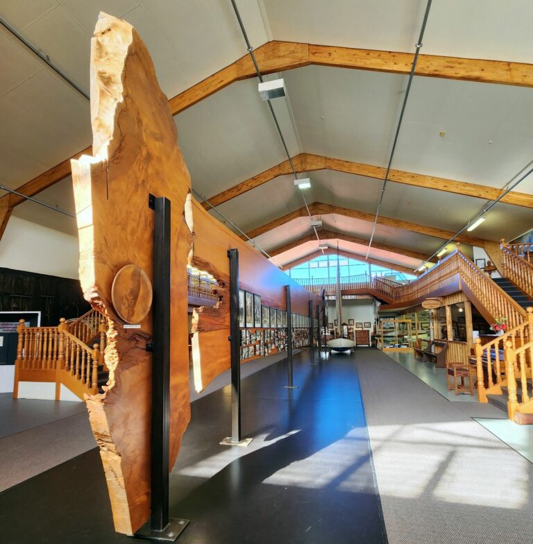 Matakohe Kauri Museum, gignatic kauri cut timber illustrates the sheer height of the tree