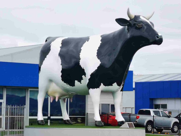 Mega cow is 6.5 meter fiberglass sculpture