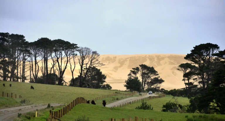 Ninety Mile Beach gravel road leading to access to Te Paki dunes