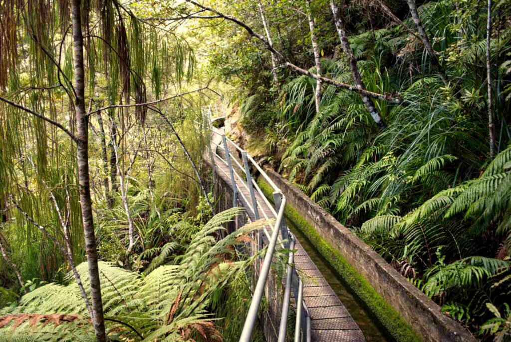 Pupu hydro walkway in Nelson New Zealand