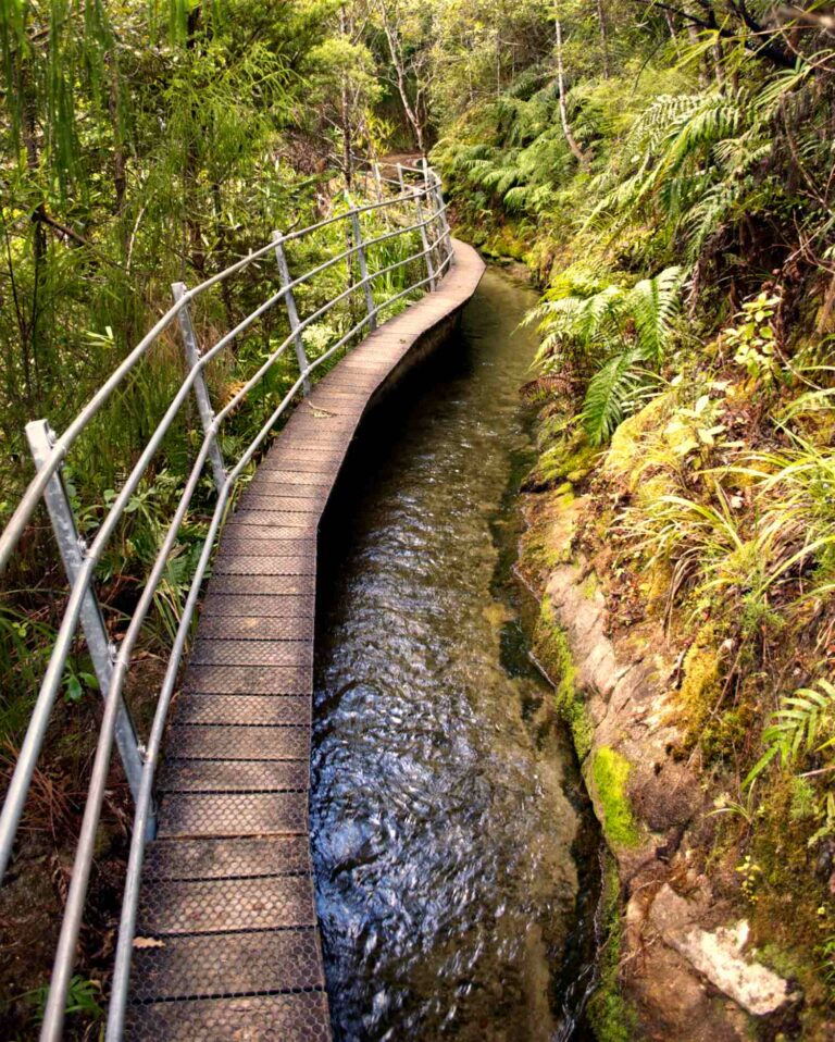 Pupu hydro walkway and canal in Nelson New Zealand