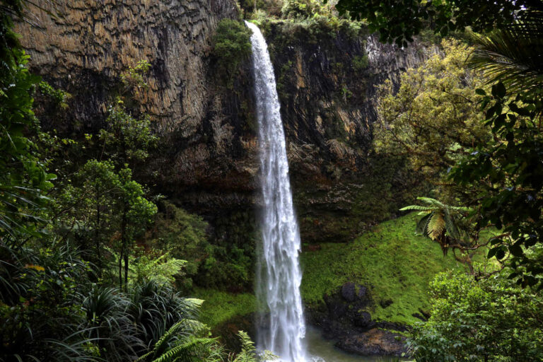 Raglan NZ waterfall Bridal Veil, NZ