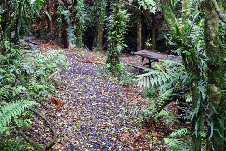 Raglan waterfall Bridal Veil entrance picnic area, NZ