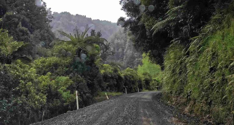 Tangarakau Gorge gravel road