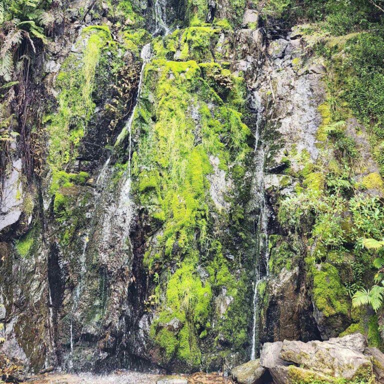 Clevedon Scenic Reserve Thorps Quarry waterfall, NZ