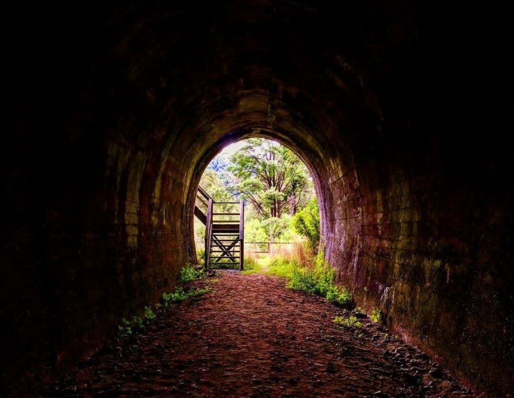 Kawatiri tunnel in Nelson New Zealand by @fionyu.tw