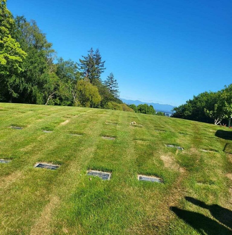 Marsden Valley Cemetery in Nelson New Zealand